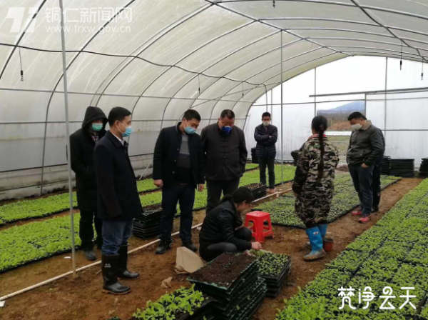 把时间抢回来，把损失补回来松桃引导“造血”抢抓春耕