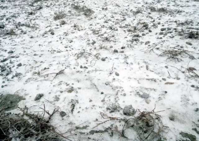 松桃2018年第一场雪，下得那么认真~只想为你一直奔走到白首.....