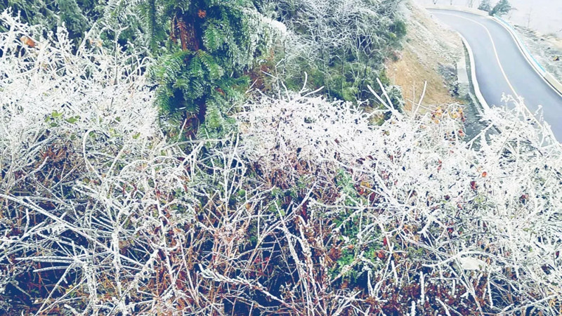 松桃2018年第一场雪，下得那么认真~只想为你一直奔走到白首.....