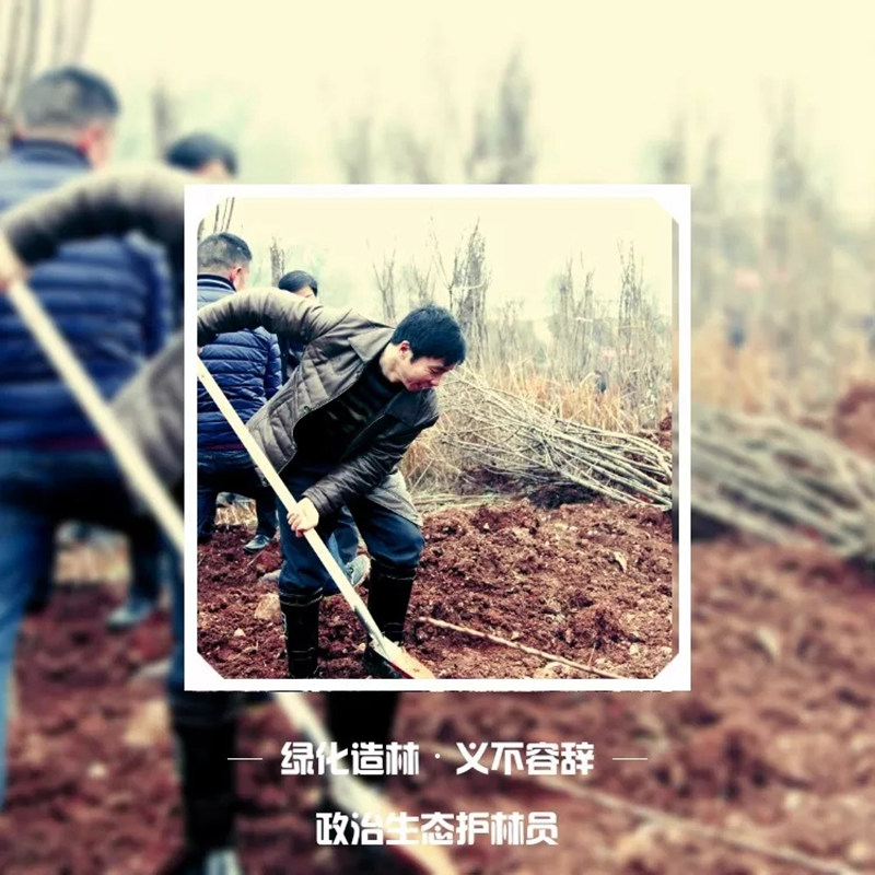 松桃纪检干部植苗添绿 树清风扬正气