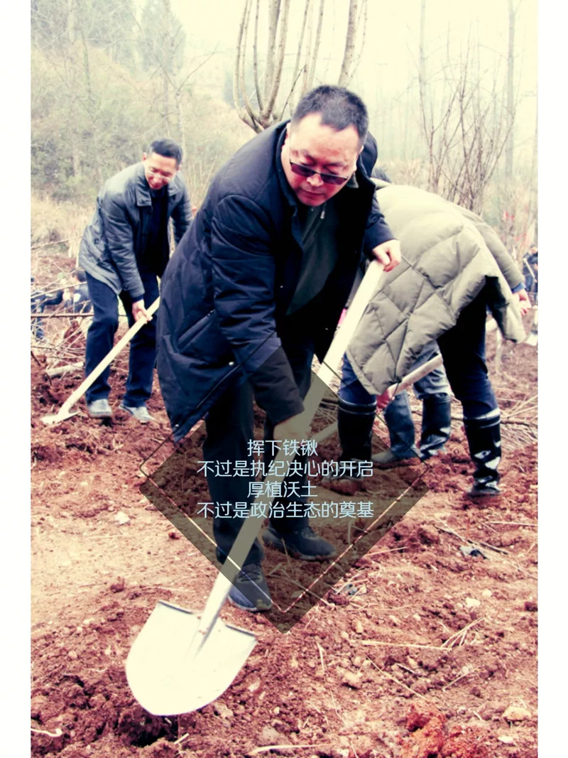 松桃纪检干部植苗添绿 树清风扬正气
