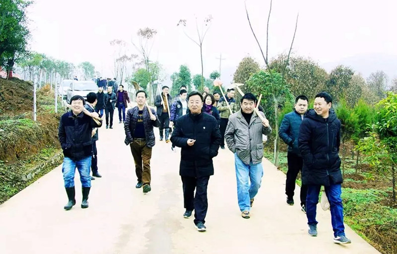 松桃纪检干部植苗添绿 树清风扬正气