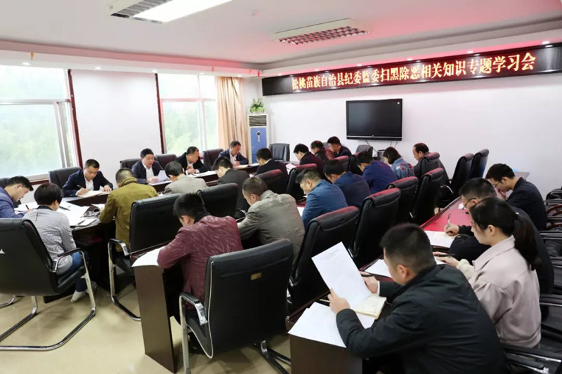 扫黑除恶县纪委监委召开扫黑除恶专题学习会