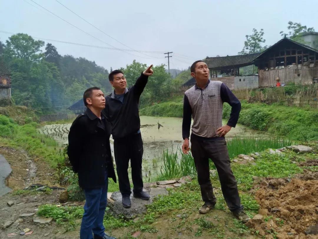 聚焦脱贫攻坚胡定钦到盘信镇督导脱贫攻坚“补短板”工作