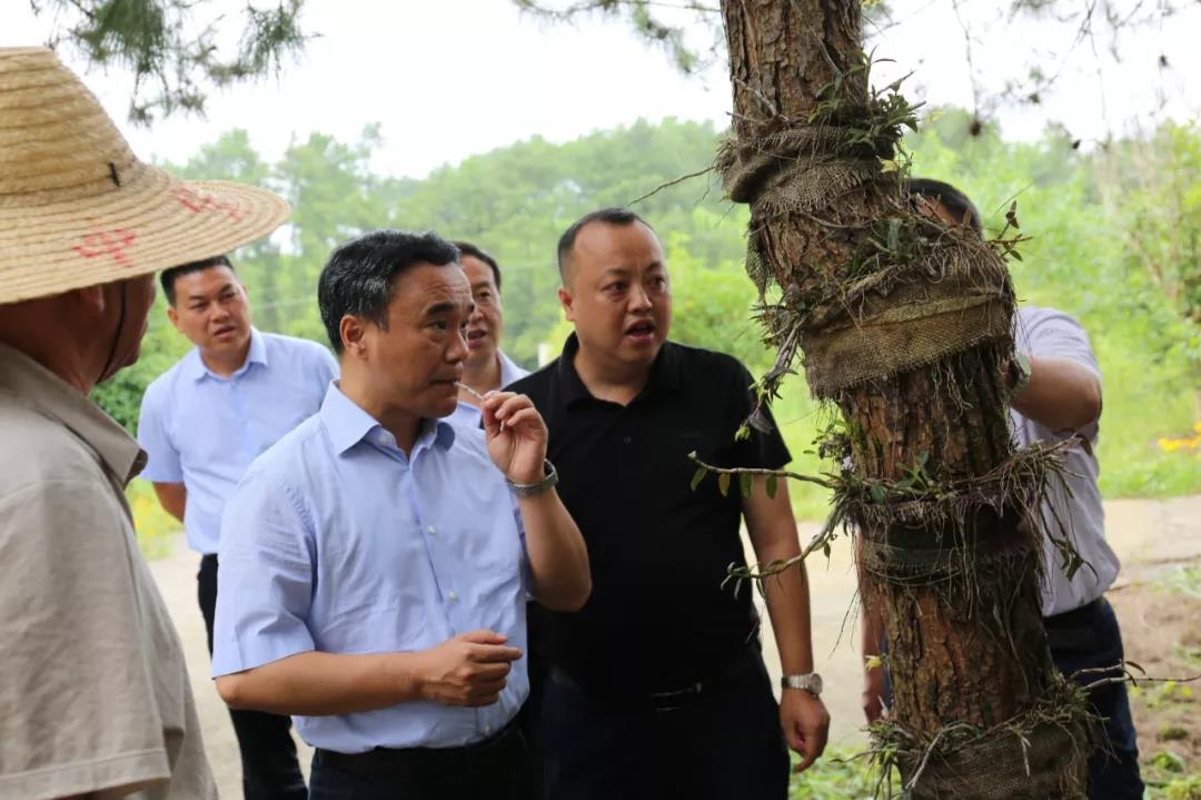 省纪委常务副书记、省监委副主任黄文胜到松桃调研