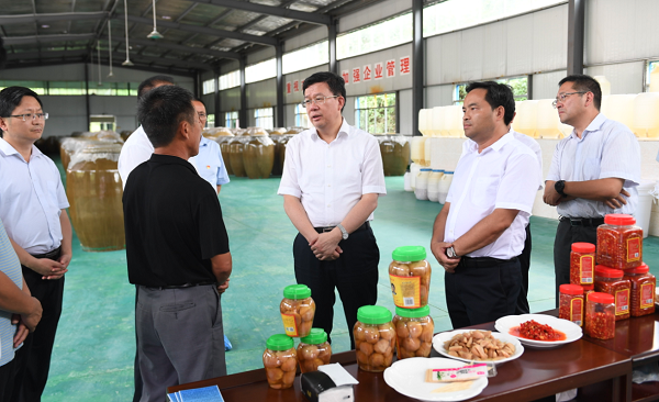 夏红民到铜仁调研时强调  持续深化改革 着力提升能力  切实把监督责任做深做实做到位