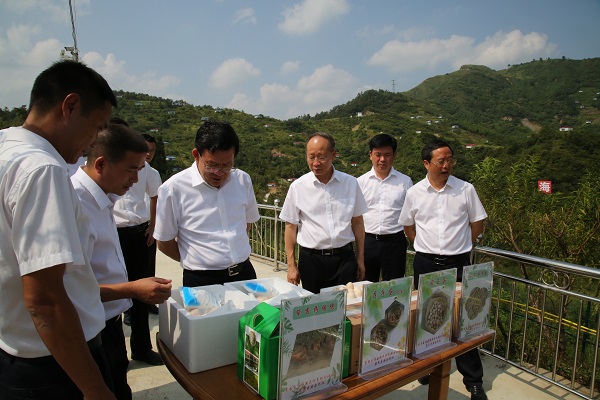 夏红民到紫云县调研时强调  紧盯问题整改强化监督检查  全力保障按时高质量打赢脱贫攻坚战