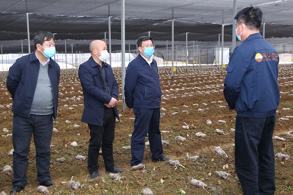 夏红民在贵阳市和贵安新区督查复工复产和疫情防控工作时强调 科学精准防控 加快复工复产 奋力夺取疫情防控和经济社会发展双胜利