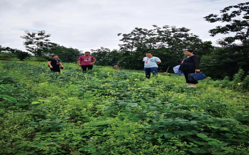澄清正名让干部“重新出发”