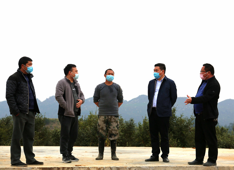 胡定钦到盘信镇督导产业发展