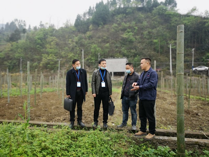 精彩推荐“双语”巡察架起干群“连心桥”