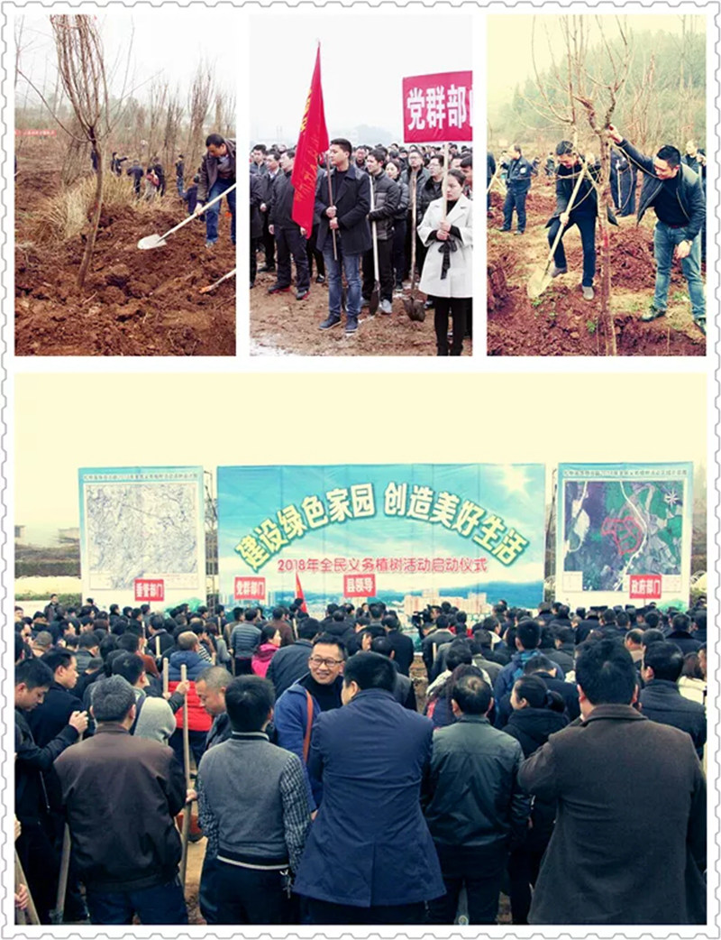 松桃纪检干部植苗添绿 树清风扬正气
