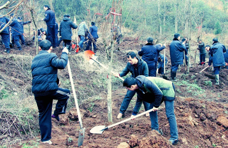 松桃纪检干部植苗添绿 树清风扬正气
