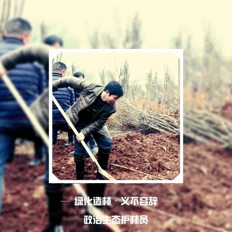 松桃纪检干部植苗添绿 树清风扬正气