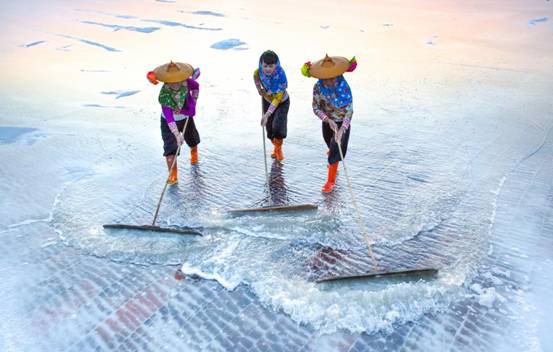 纪检人·镜头泽草所生 种之芒种