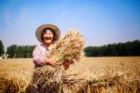 中央纪委国家监委纪检人·镜头泽草所生 种之芒种