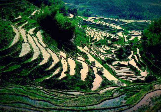 中央纪委国家监委纪检人·镜头泽草所生 种之芒种