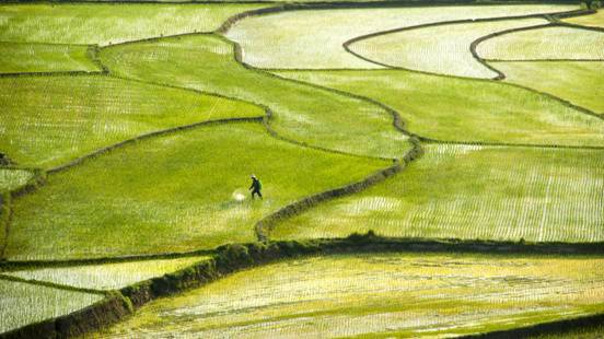 中央纪委国家监委纪检人·镜头泽草所生 种之芒种