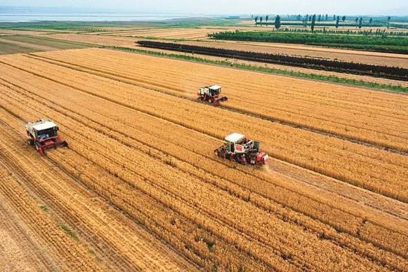 中央纪委国家监委纪检人·镜头泽草所生 种之芒种