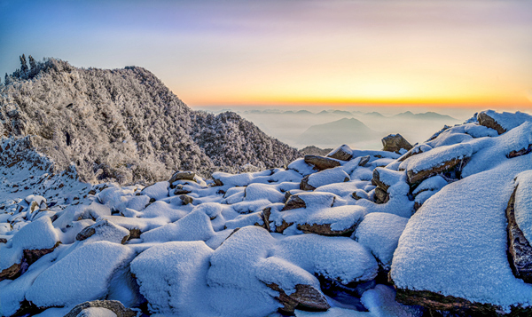 镜头 | 白日隐寒树 野色笼寒雾