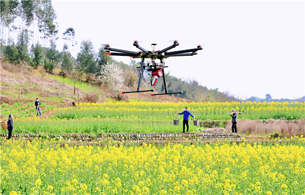 抗疫镜头 | 落实差异化防控措施 有序开展春耕