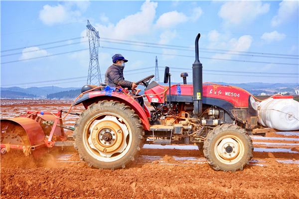 抗疫镜头 | 落实差异化防控措施 有序开展春耕