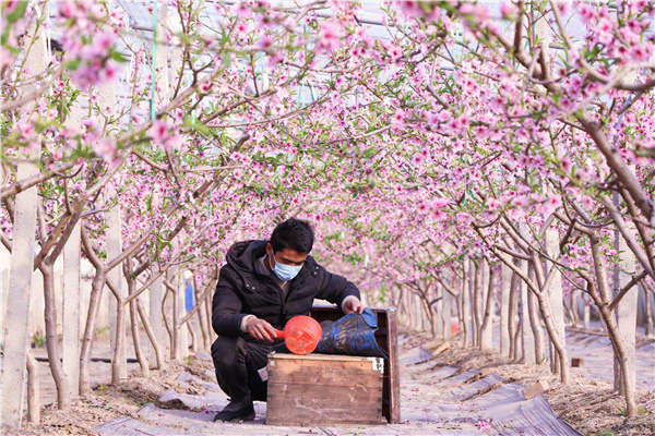 抗疫镜头 | 落实差异化防控措施 有序开展春耕