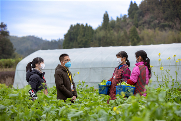 抗疫镜头 | 落实差异化防控措施 有序开展春耕