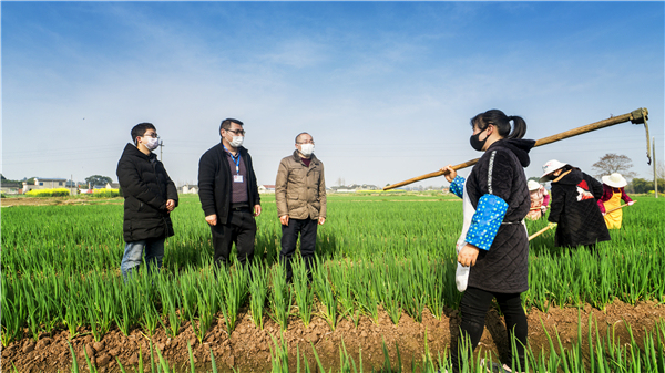 抗疫镜头 | 落实差异化防控措施 有序开展春耕