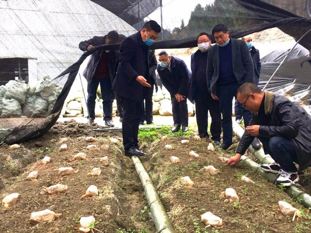 镜头| 松桃纪检监察机关为“两手抓”提供有力保障