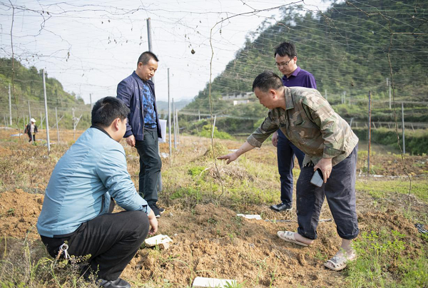 镜头 | 冲刺90天 打赢歼灭战