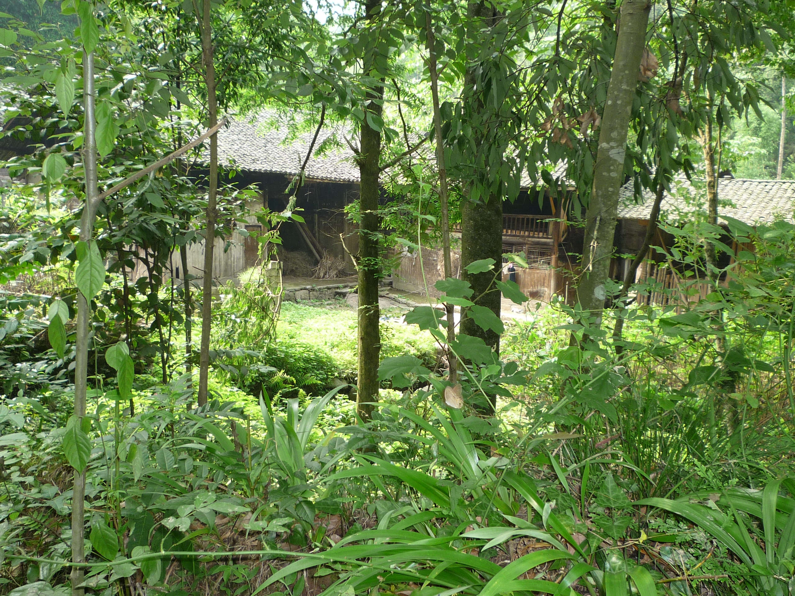 史海钩沉丨龚永明故居