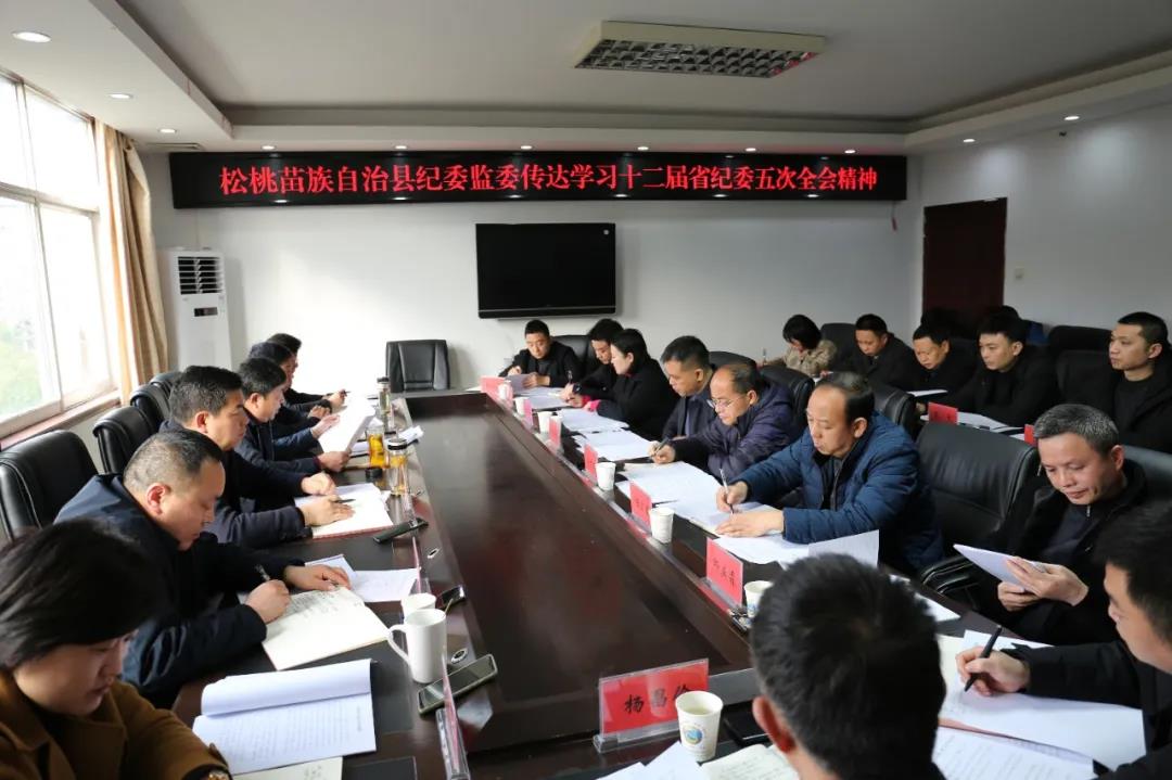 松桃纪委监委传达学习十二届省纪委五次全会精神