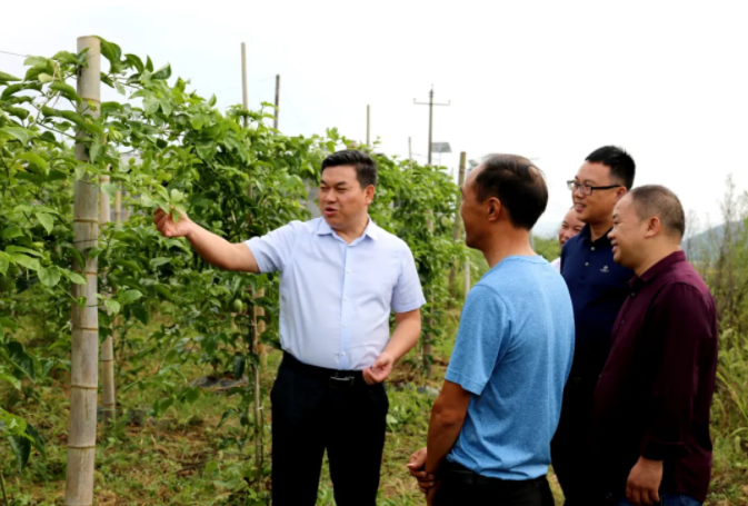 回望2020∣区（县）亮点工作——松桃篇