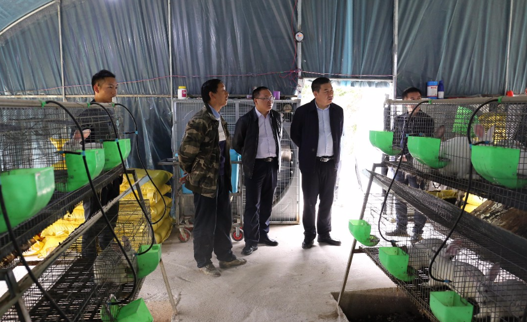 胡定钦到太平营盘信督导巩固扩展脱贫攻坚成果同乡村振兴有效衔接工作