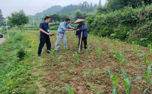 巡察故事丨拖欠9年的“工资”到手了