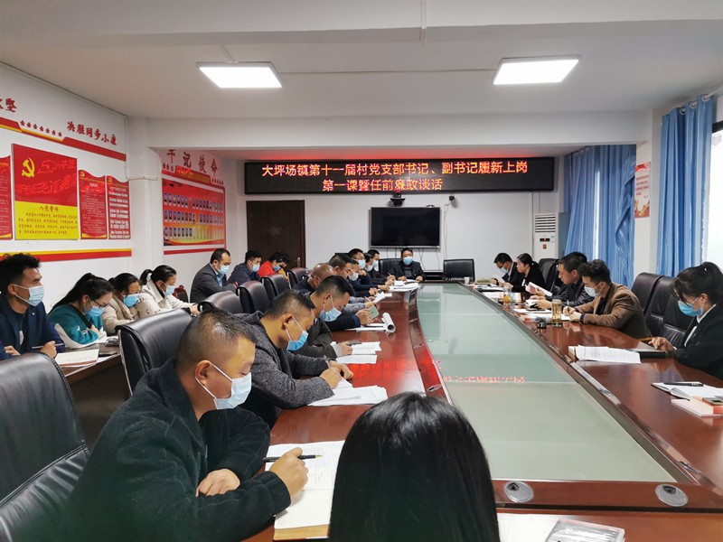 大坪场镇纪委开展村干部任前廉政谈话