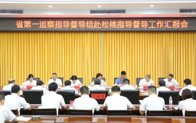 省第一巡察指导督导组到松桃指导督导工作
