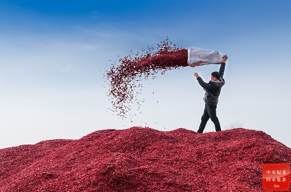 镜头 | 冬至大如年