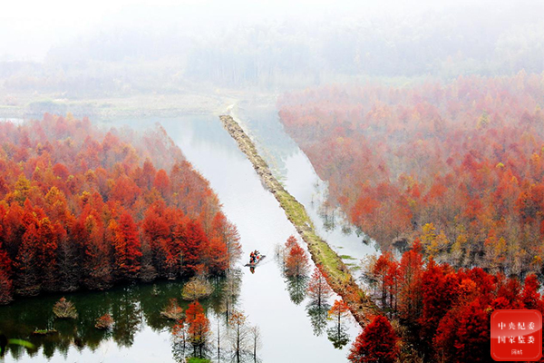镜头 | 冬至大如年
