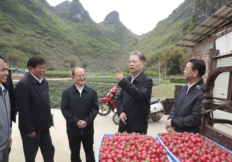 赵乐际:持之以恒纠
