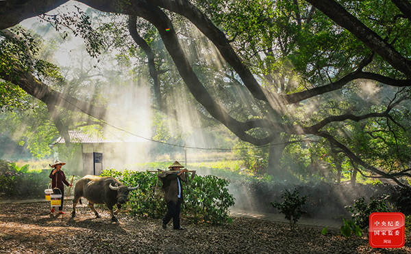中央纪委国家监委网站：镜头 | 人勤春早农耕忙