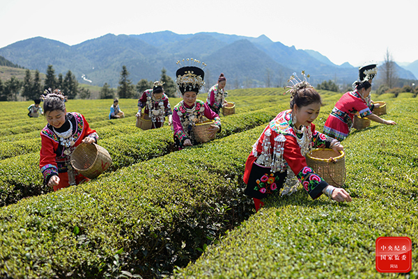中央纪委国家监委网站：镜头 | 人勤春早农耕忙