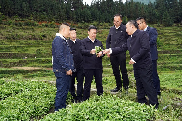 夏红民在从江县调研时强调