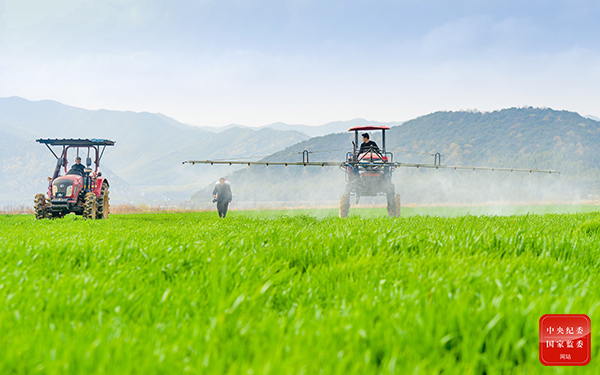 中央纪委国家监委网站：镜头 | 人勤春早农耕忙