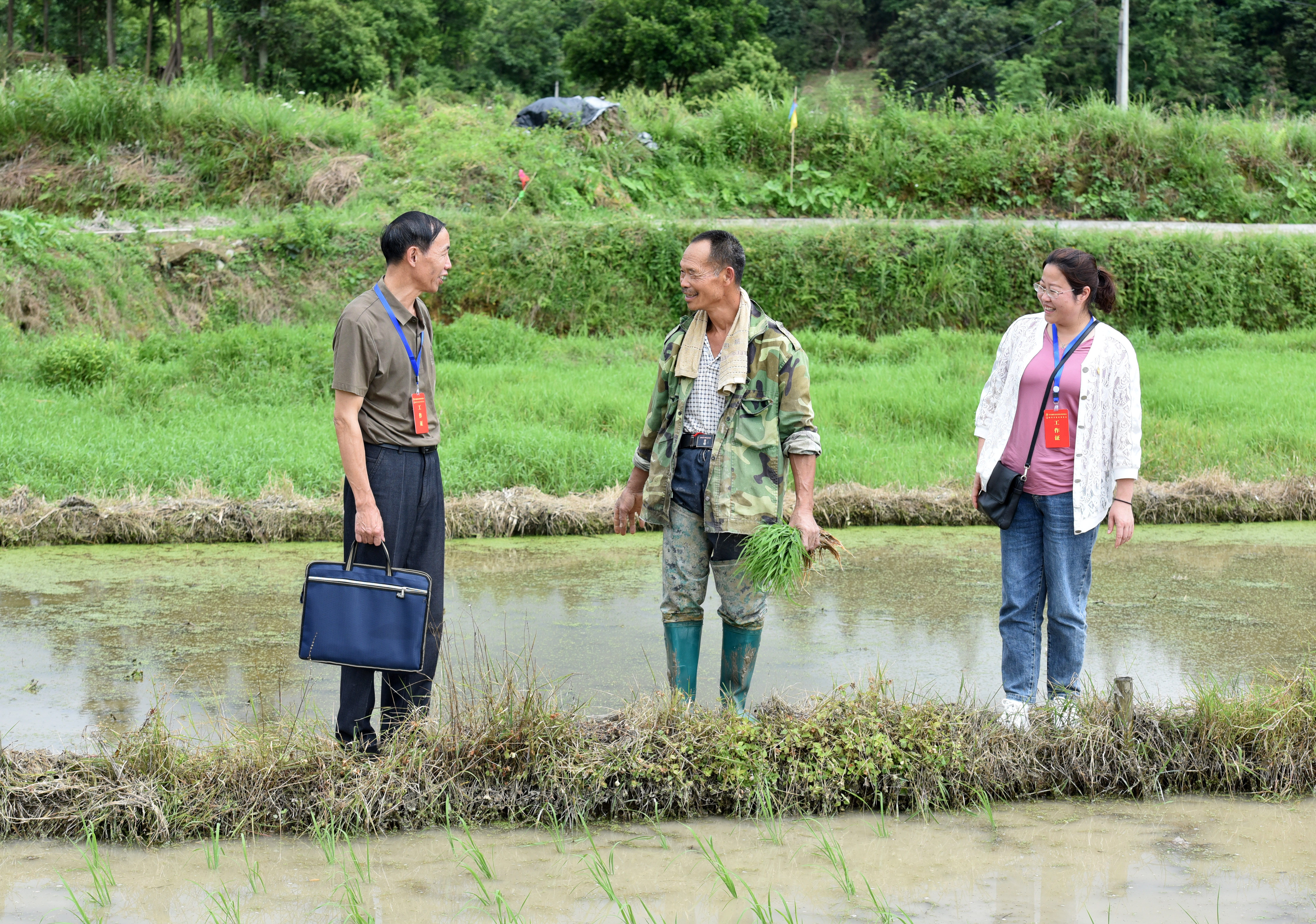 镜头∣学史力行 以行践知