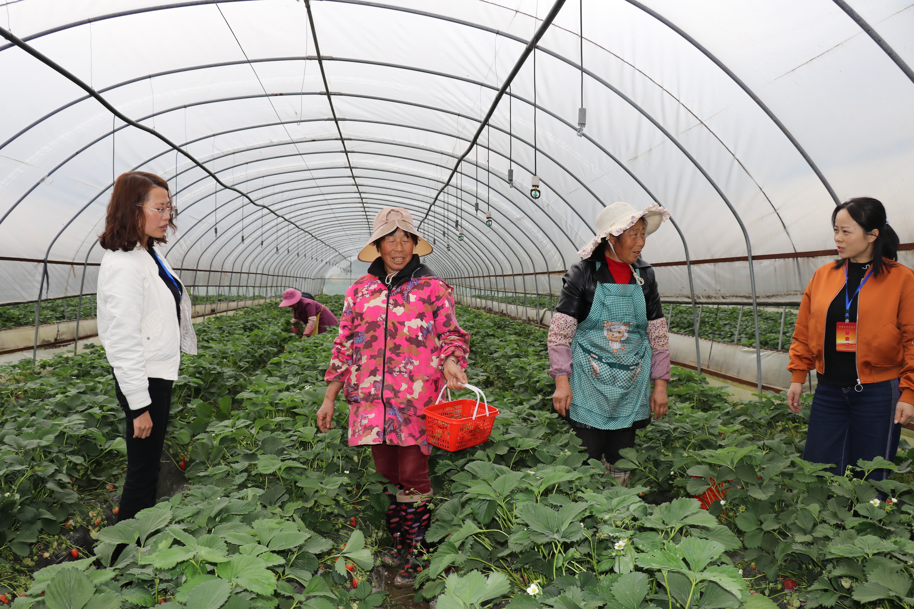 镜头∣学史力行 以行践知
