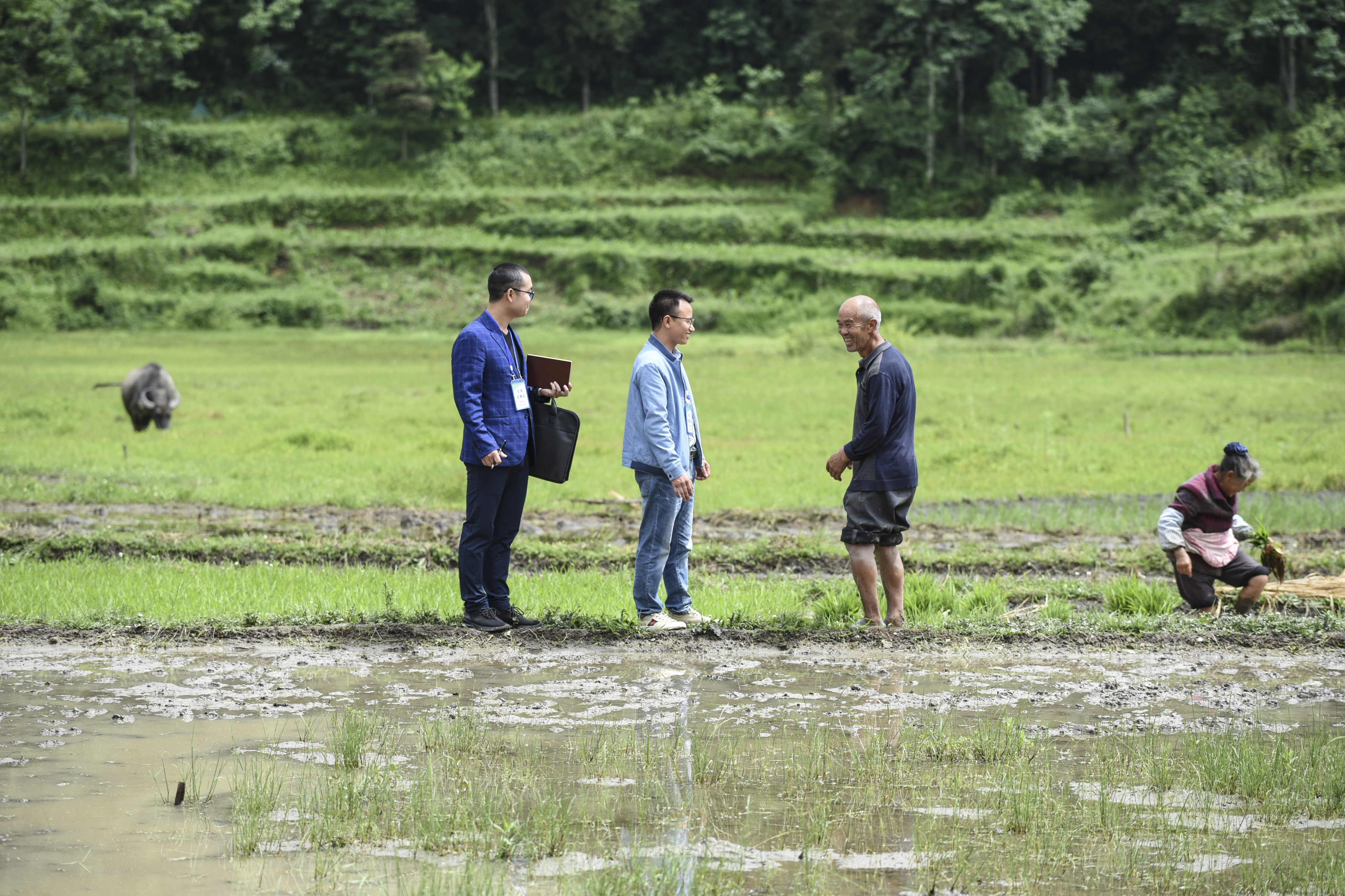 镜头∣学史力行 以行践知