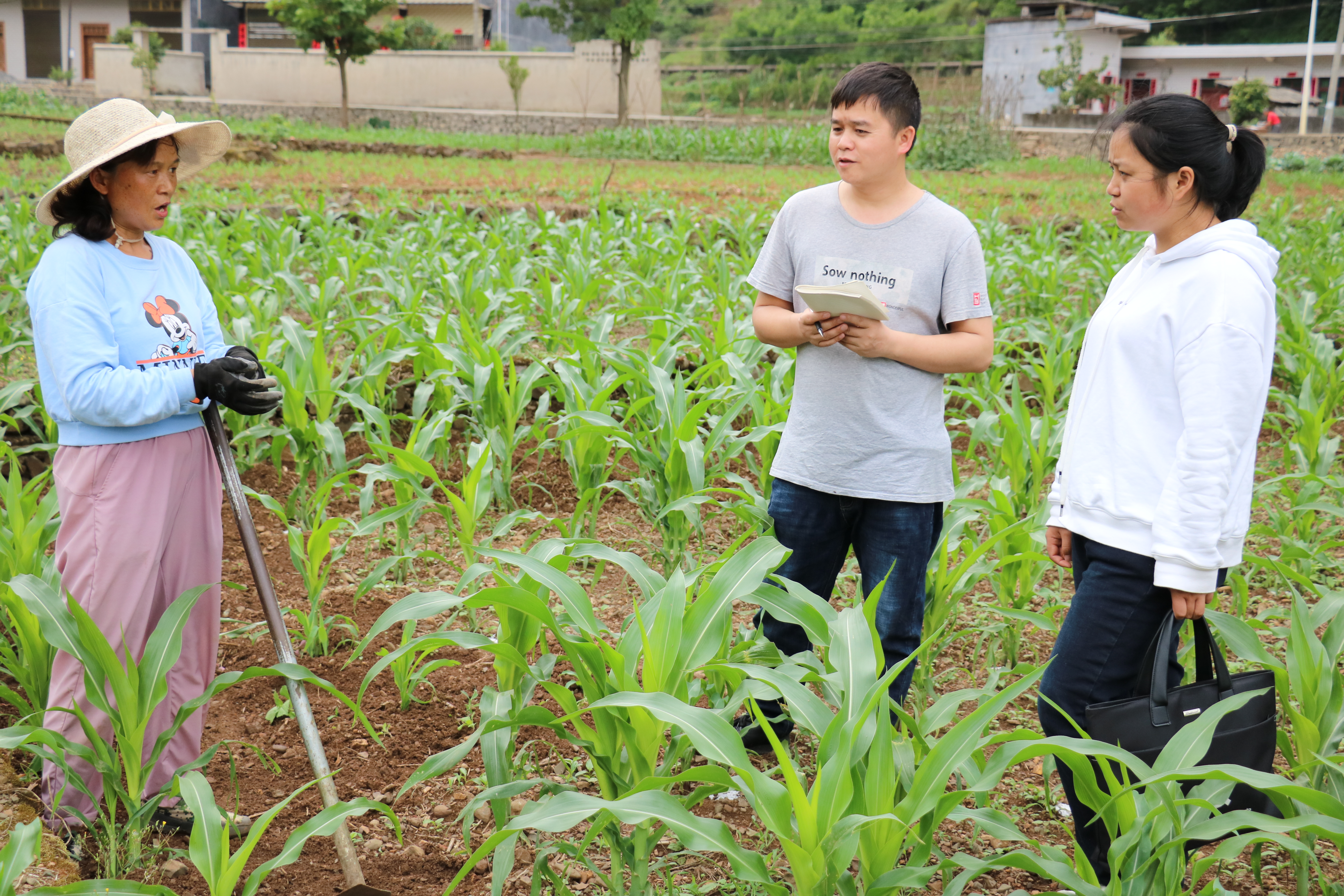 镜头∣学史力行 以行践知