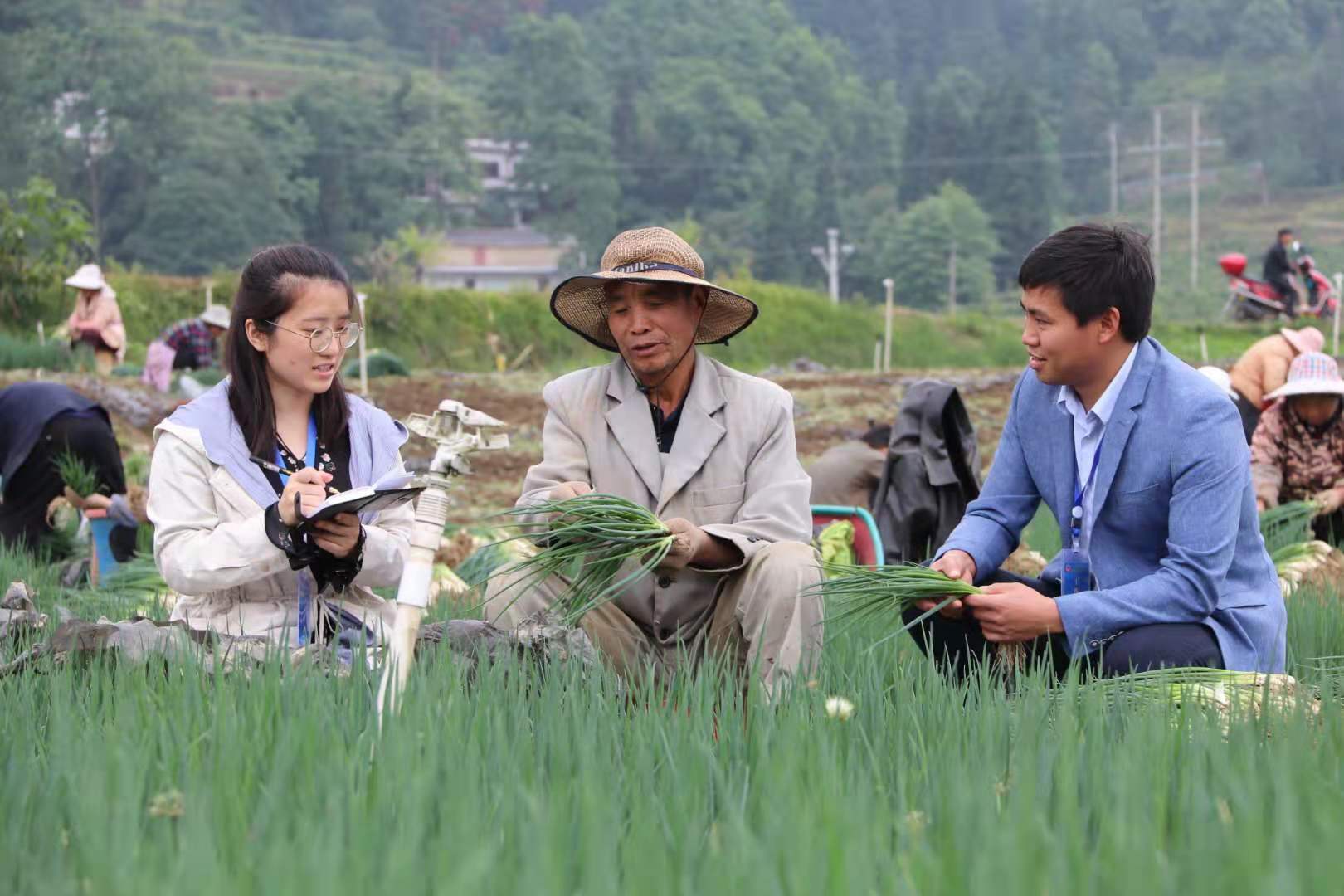 镜头丨学党史 悟思想 办实事 开新局